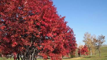 施設からの眺望 / 16