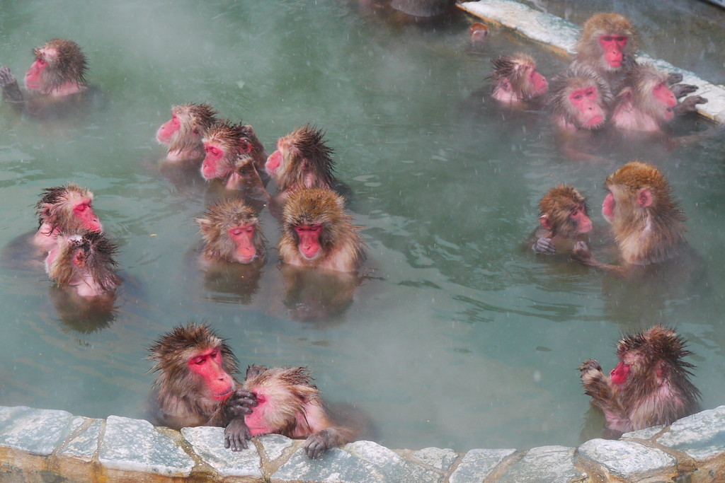 いかがだたったでしょうか?25019