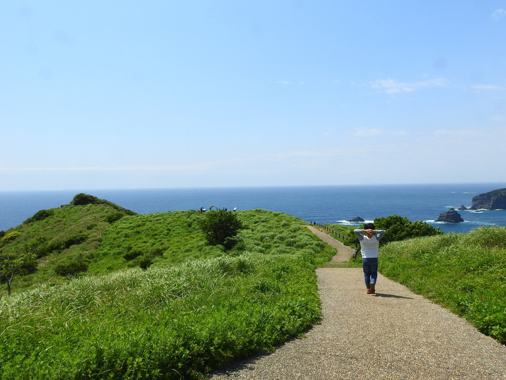日本一わんこに優しい観光地「伊豆」646605