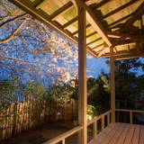 貸切露天風呂(春) / 4