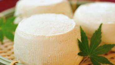 ビュッフェ / 27