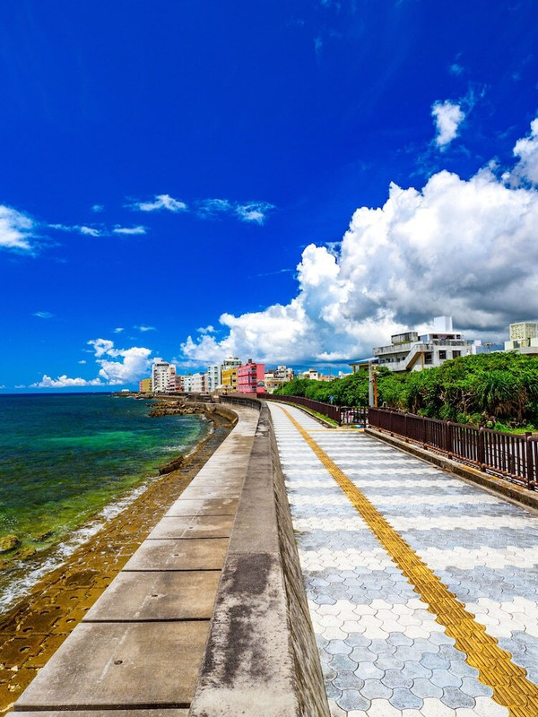 メイン イメージ