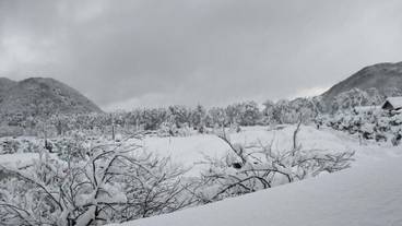 スノー スポーツとスキー / 1