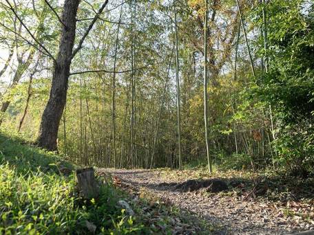 はなれの宿 千の森 / 3
