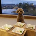 ペットと一緒に思い出づくり♪琵琶湖でおすすめホテル＆コテージ6選