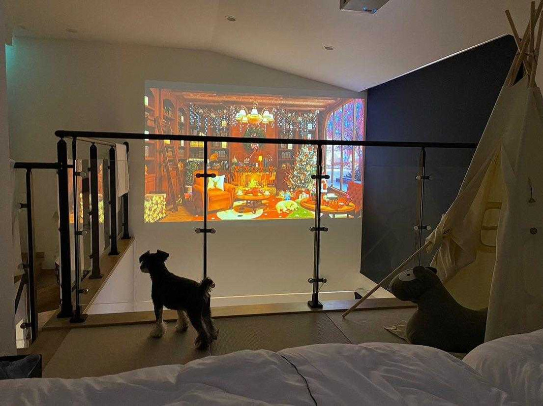 sachinoa_2525さんの写真 / 1