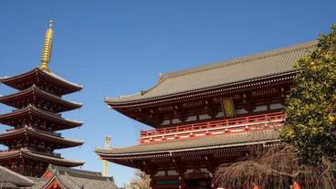 ランド ビュー / 22