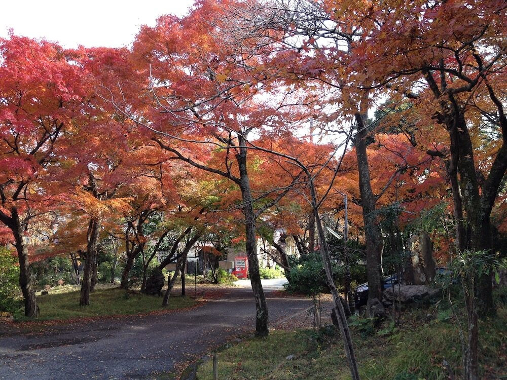 施設の敷地