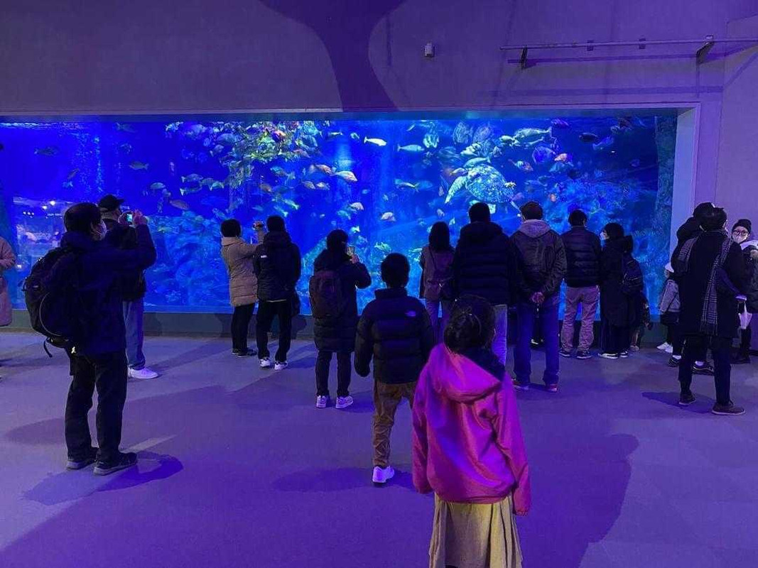 haru1009mwmwさんの写真 / 1