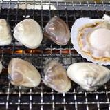 焼蛤 浜茶屋 向島（ヤキハマグリハマヂャヤムコウジマ）