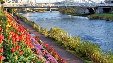 シティ ビュー / 7