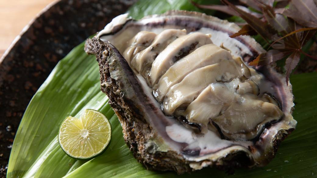 コースの刺身例 / 2