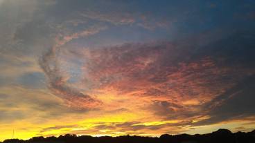 施設からの眺望 / 14