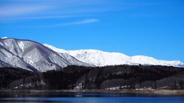 観光スポット / 7