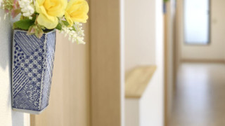 共同ドミトリー 男女共用ドミトリー