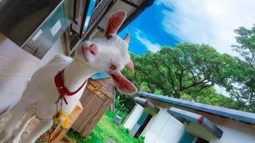 施設の入り口 / 3