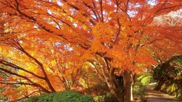 観光スポット / 19