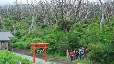 施設の敷地 / 21