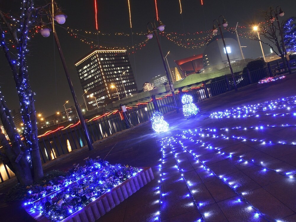 テラス / パティオ