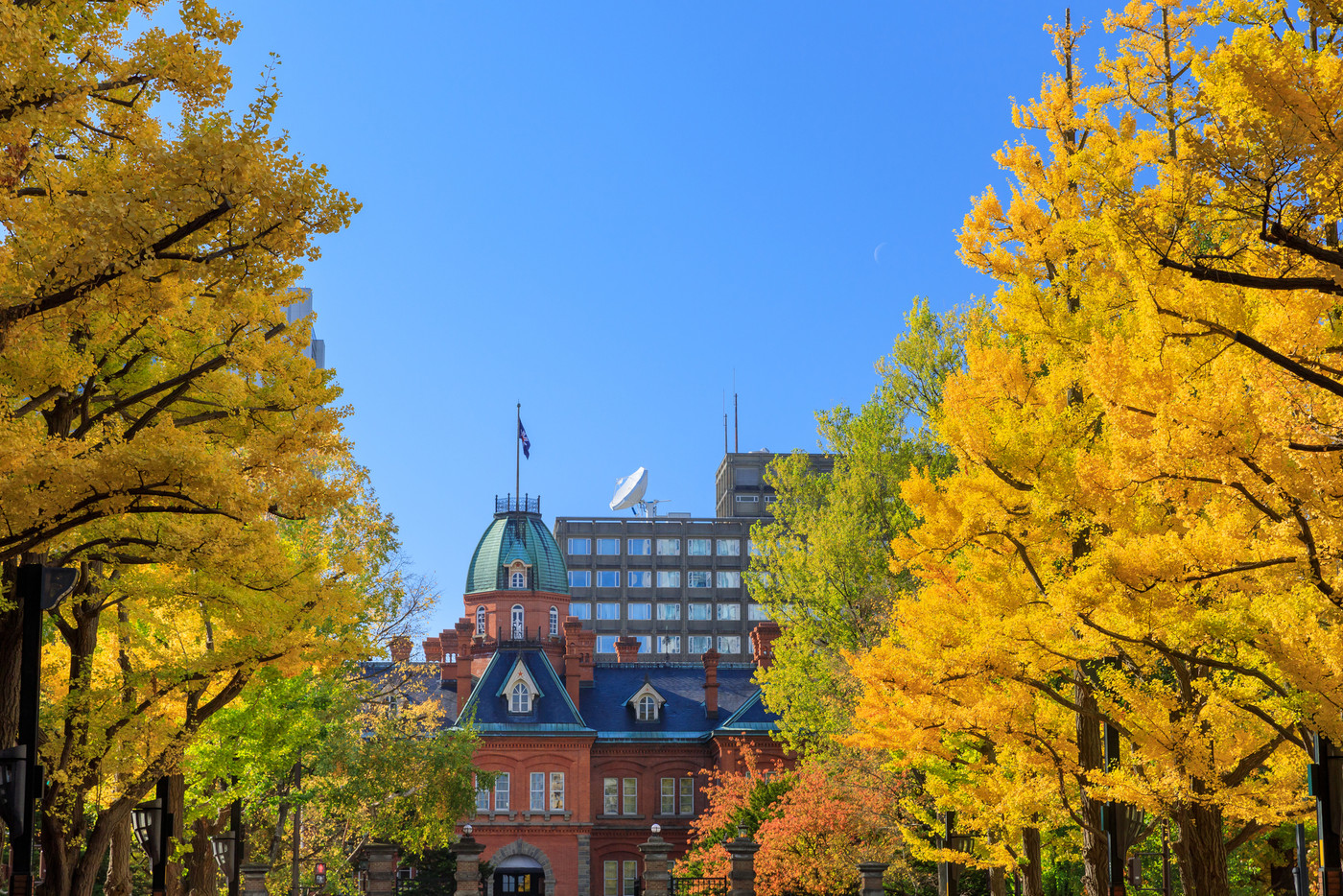北海道庁旧本庁舎とイチョウ並木道