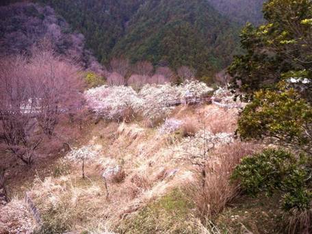 火の谷温泉 美杉リゾート / 4