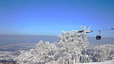 施設の敷地 / 16