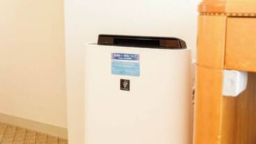 客室の設備とサービス / 31