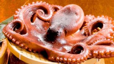 レストラン / 13