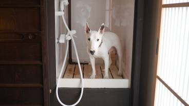 施設内の設備 / 2