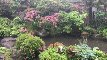 ガーデン ビュー / 13