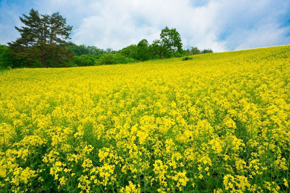 施設からの眺望