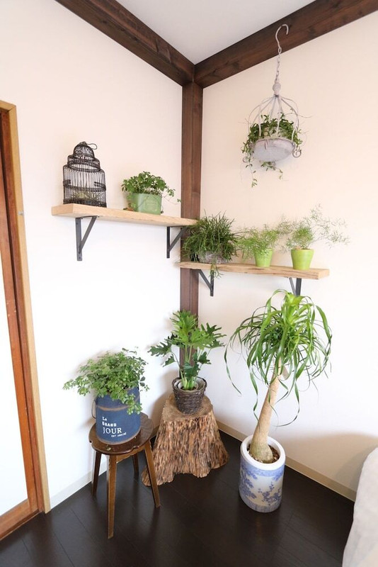 客室の設備とサービス