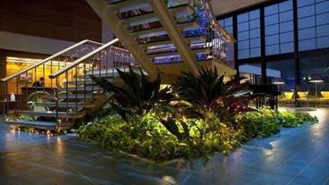 内装の詳細 / 13