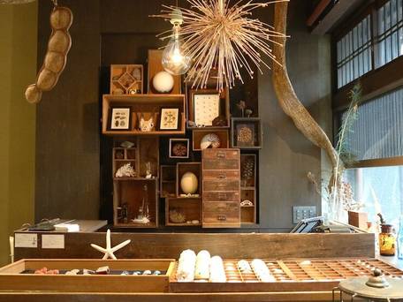 ウサギノネドコ / 2