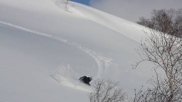 スノー スポーツとスキー / 5