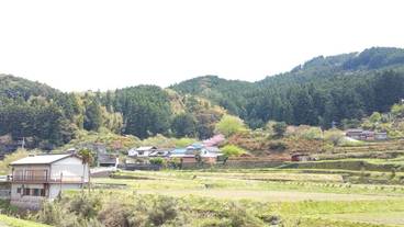 部屋からの景観 / 16