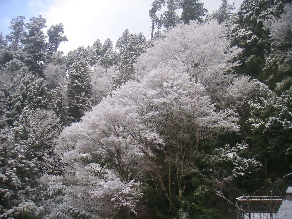 施設からの眺望