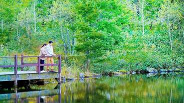 観光スポット / 11