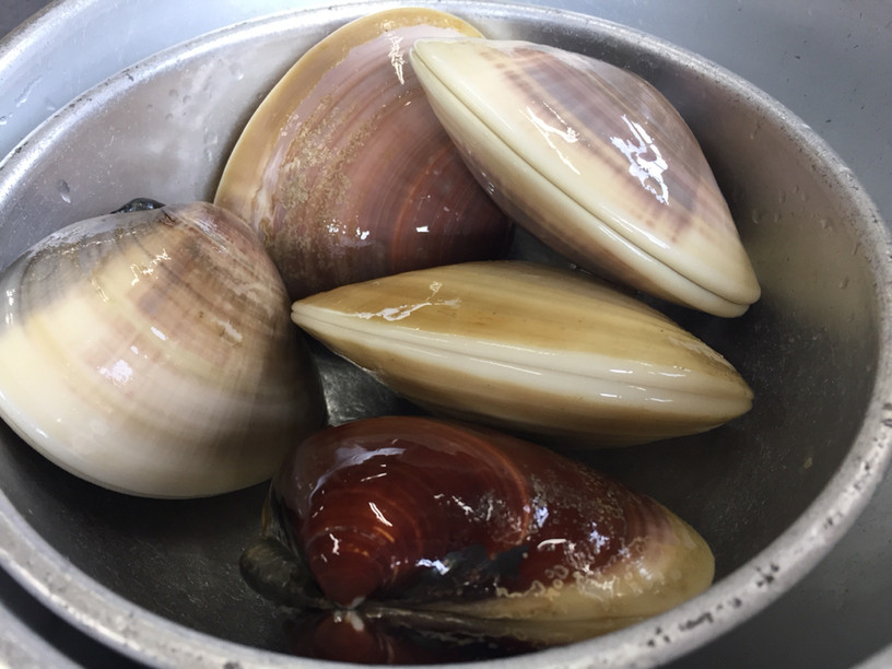 「焼蛤 浜茶屋 向島」料理 931837 