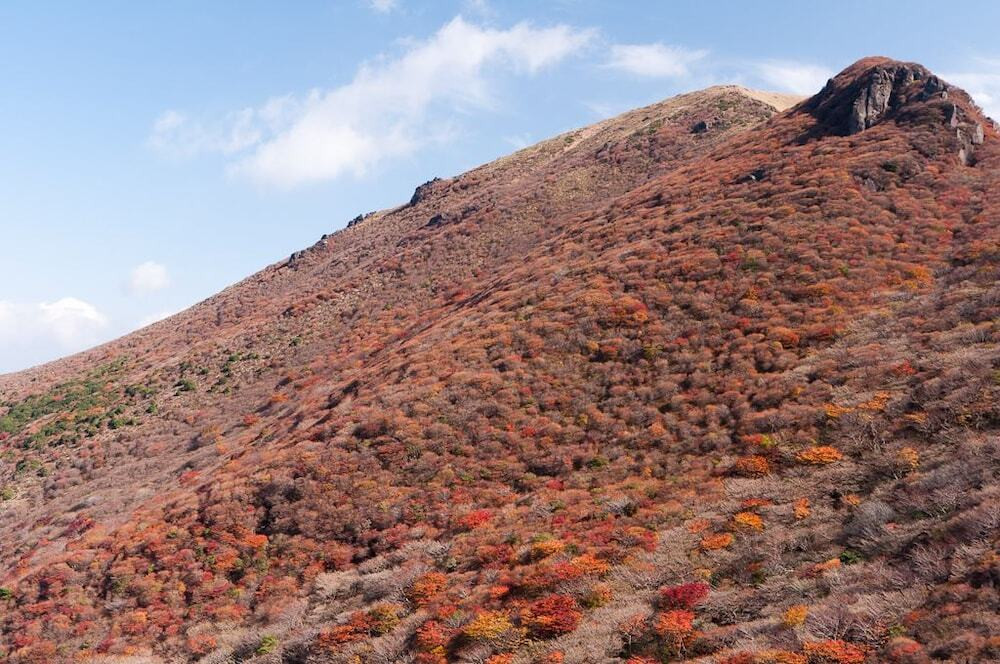 マウンテン ビュー