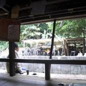 月光荘(沖縄県 ゲストハウス・ホステル・ドミトリー) / 2