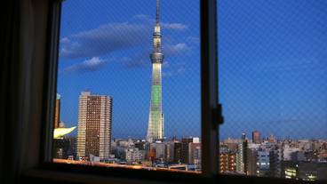 部屋からの景観 / 31