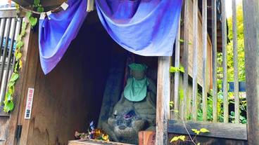 ランド ビュー / 16