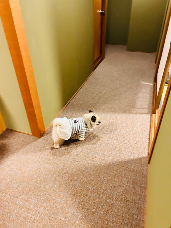 k_chirashi_さんの写真 / 2