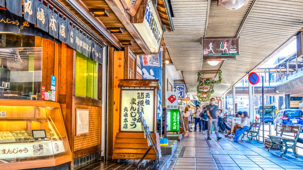 ロマンスカーで箱根へ
箱根湯本で散策を楽しむ / 2