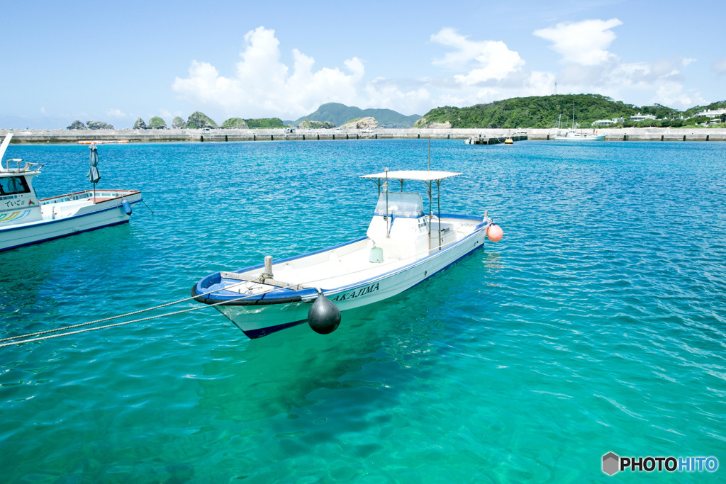 阿嘉島廻りいかがでしたか?1333461