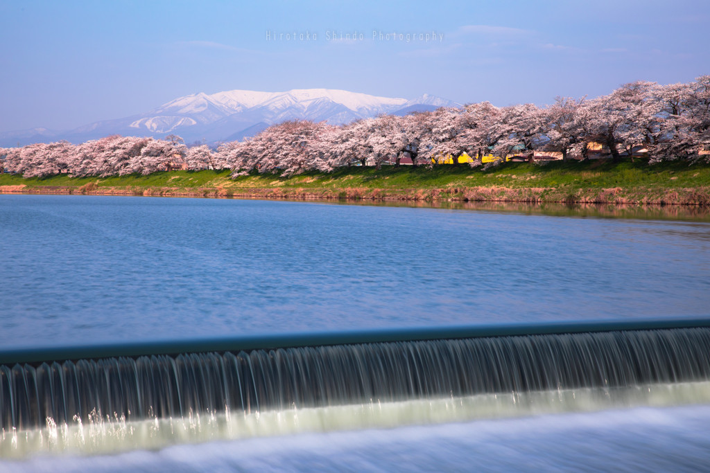 桜の季節は萩の月と温泉を楽しむ、ぶらりみちのく旅へ♡3689204