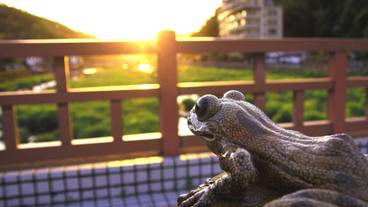 観光スポット / 8