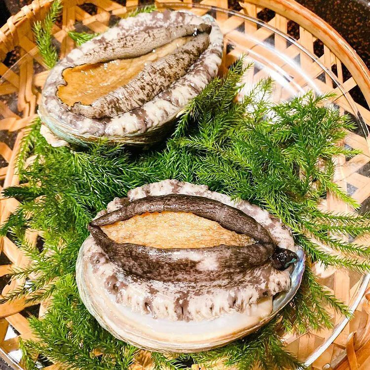 haru___tamaさんの写真 / 3