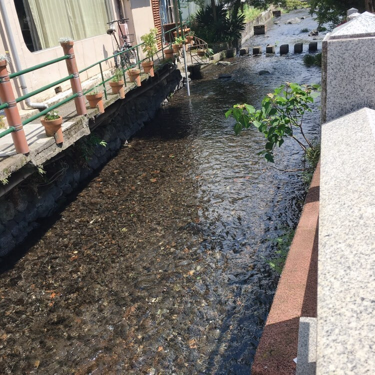 4rerjoseさんの写真 / 3